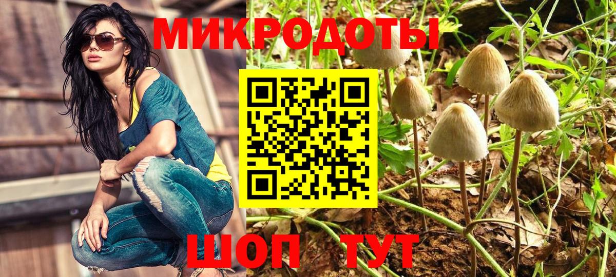 Галлюциногенные грибы мицелий Пушкино